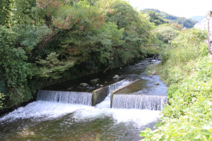 ちとせ川１IMG_5844