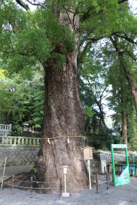 五所神社２IMG_5823