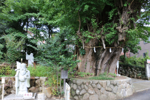 五所神社３IMG_5819